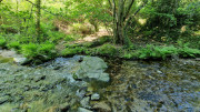Cayrel_25_04-30