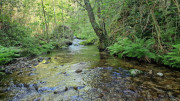 Cayrel_25_04-31