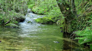 Cayrel_25_04-32