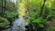 Cayrel_25_04-33