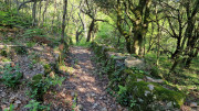 Cayrel_25_04-39