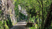 Cayrel_25_04-46