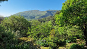 Cayrel_25_04-48