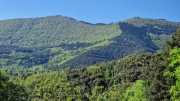 Cayrel_25_04-49
