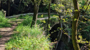 Cayrel_25_04-52