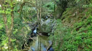 Cayrel_25_04-54