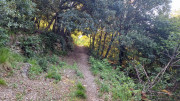 Cayrel_25_04-58