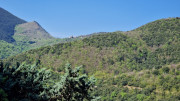 Cayrel_25_04-64