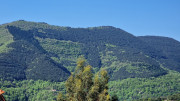 Cayrel_25_04-79