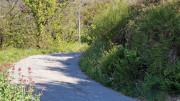 Cayrel_25_04-81