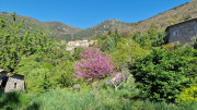 Cayrel_25_04-89