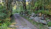 Cayrel_25_04-9