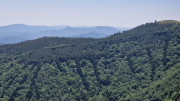 Liron_25_06-155