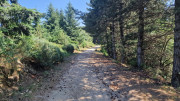 Liron_25_06-180