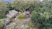 Mauripe_25_01-108