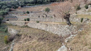 Mauripe_25_01-143