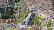 Mauripe_25_01-149