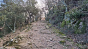 Mauripe_25_01-156