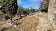 Mauripe_25_01-22
