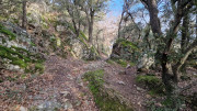 Mauripe_25_01-31