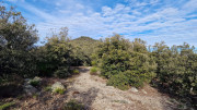 Mauripe_25_01-68
