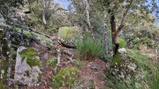 Mauripe_25_01-75