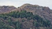 Mauripe_25_01-91
