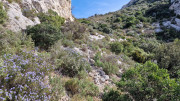 Calans_25_03-118