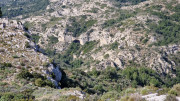 Calans_25_03-129