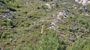 Calans_25_03-160