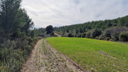 Calans_25_03-168