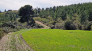 Calans_25_03-169