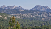 Calans_25_03-200