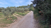 Calans_25_03-212