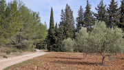 Calans_25_03-214
