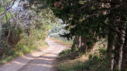 Calans_25_03-216