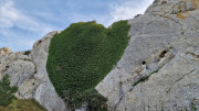 Calans_25_03-239