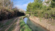 Calans_25_03-24