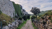 Calans_25_03-243