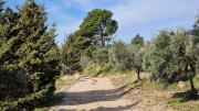 Calans_25_03-33
