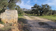Calans_25_03-37