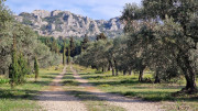 Calans_25_03-38