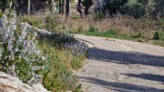 Calans_25_03-55