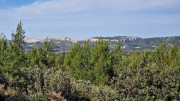 Calans_25_03-78