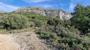 Calans_25_03-83