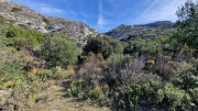Calans_25_03-84