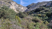 Calans_25_03-85