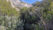 Calans_25_03-86