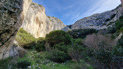 Calans_25_03-91
