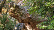 Masmolene_25_12-15